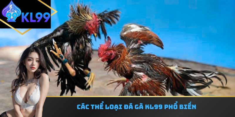 Các thể loại đá gà KL99 phổ biến