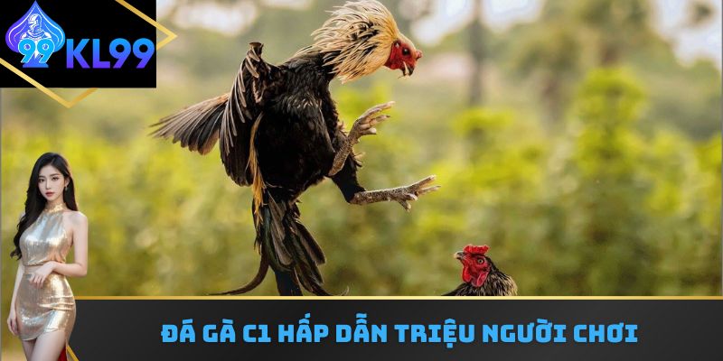 Vì sao chơi đá gà C1 luôn hấp dẫn triệu người chơi?