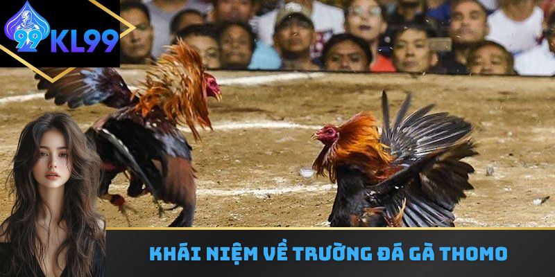 Khái niệm về trường đá gà thomo