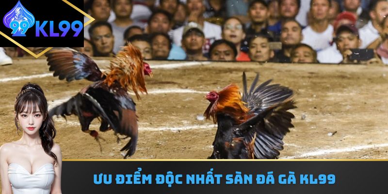 Ưu điểm độc nhất sàn đá gà KL99